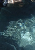 2019203